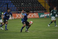 /album/fotogaleria/dsc-0066-jpg/