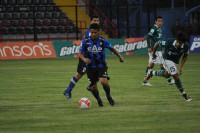 /album/fotogaleria/dsc-0070-jpg/