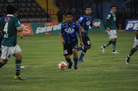 /album/fotogaleria/dsc-0071-jpg/